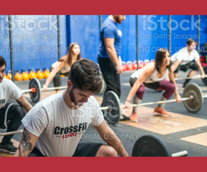 fitness-multipage-1024x455